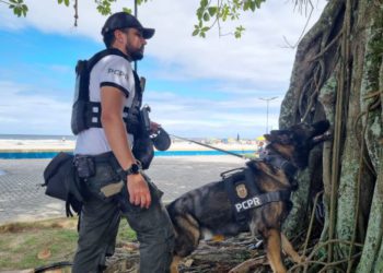 PR realiza fiscalização com auxílio de cães policiais no Litoral -
Fotos: PCPR