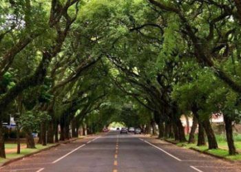 Avenida Pedro Basso, considerada uma das mais bonitas do Brasil. Foto: Foz Destino do Mundo/Divulgação