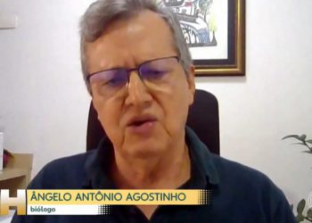 Foto ilustrativa: captura de vídeo do telejornal.