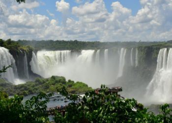 Passara das Cataratas do Iguaçu. Foto: Edison Emerson/Divulgação
