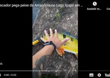 Tucunaré capturado no Lago Igapó. Foto: captura de vídeo