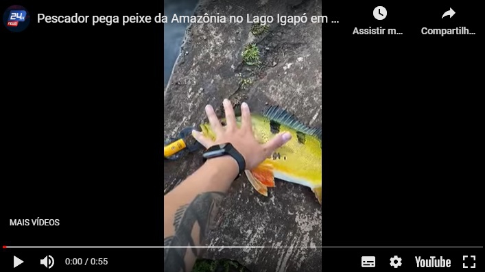 Tucunaré capturado no Lago Igapó. Foto: captura de vídeo