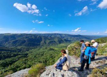 Expedição encontra três plantas ameaçadas de extinção, uma delas pela primeira vez desde 1995
Foto: Sedest