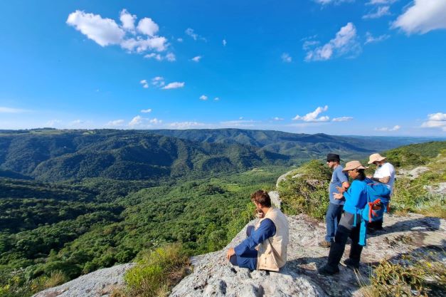 Expedição encontra três plantas ameaçadas de extinção, uma delas pela primeira vez desde 1995
Foto: Sedest