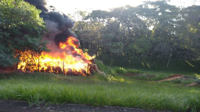Fotos: leitora do Não Viu?