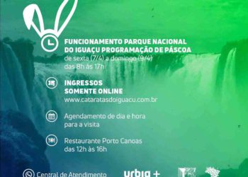 Ilustração: divulgação