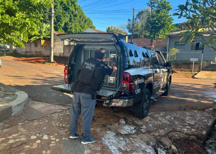 Prisão da suspeita no domingo. Foto: PCPR/Divulgação