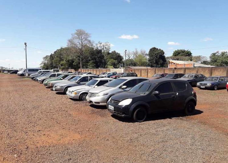Veículos que serão leiloados. Foto: PMFI