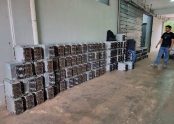 Máquinas que estão sendo analisadas. Foto: La Clave