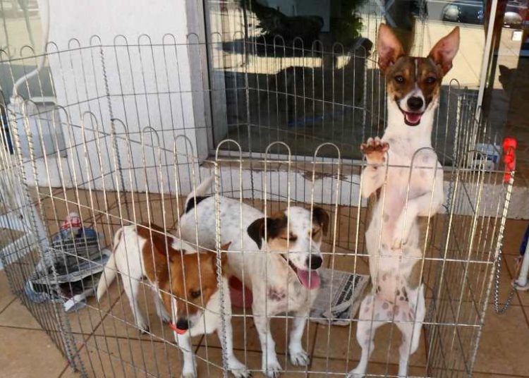 Foto ilustrativa: divulgação