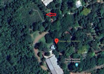 Labirinto localizado em Montecarlo. Foto: Google Maps