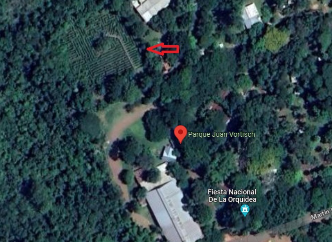 Labirinto localizado em Montecarlo. Foto: Google Maps