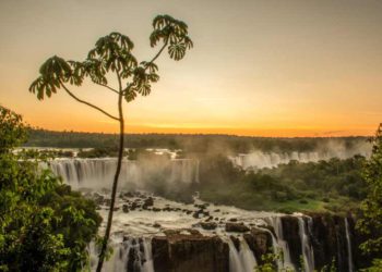 Foto ilustrativa: divulgação Urbia Cataratas