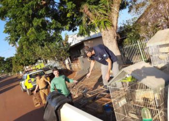 Fiscais do IAT apreenderam 56 aves, de 13 espécies diferentes, em Assis Chateaubriand, na Região Oeste
Foto: IAT-PR