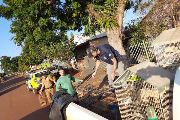 Fiscais do IAT apreenderam 56 aves, de 13 espécies diferentes, em Assis Chateaubriand, na Região Oeste
Foto: IAT-PR