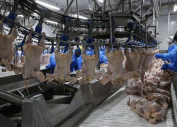 Foto ilustrativa: Jonathan Campos/Ipardes