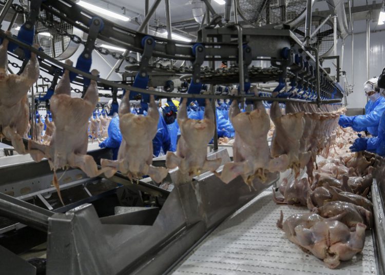 Foto ilustrativa: Jonathan Campos/Ipardes