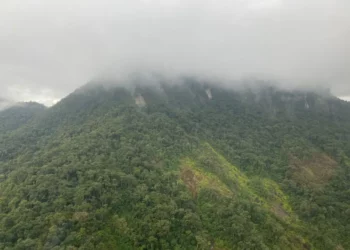 Área de Mata Atlântica onde autoridades buscam avião desaparecido no Paraná — Foto: BPMOA