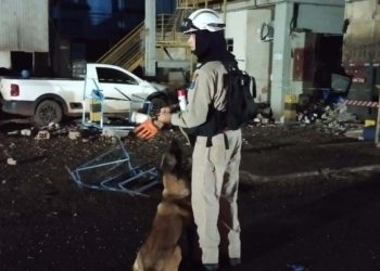 Foto: Corpo de Bombeiros