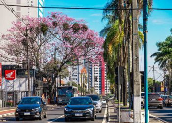 Foz do Iguaçu. Foto: Thiago Dutra/PMFI