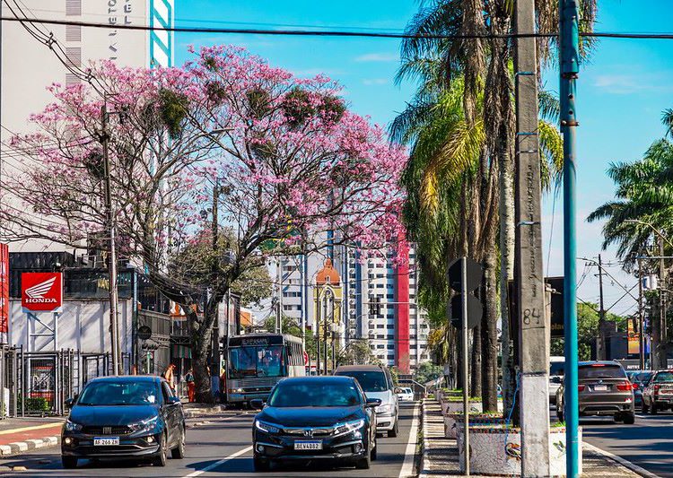Foz do Iguaçu. Foto: Thiago Dutra/PMFI