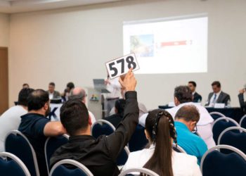 Leilão realizado ontem (1°). Foto: Sara Cheida/IB