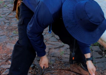 Sanepar inicia vistoria das ligações de esgoto na região do Morumbi, em Foz do Iguaçu
Foto: Sanepar