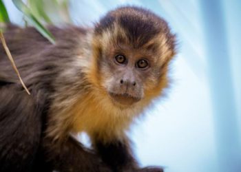 Foto ilustrativa: TRF-4