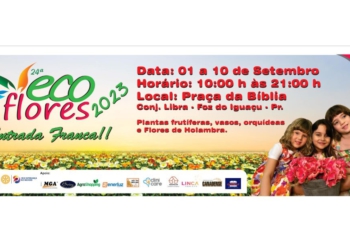 Ilustração: divulgação