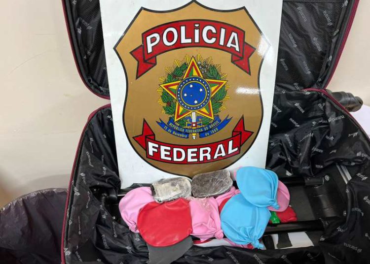 Mala apreendida. Foto: divulgação/PF