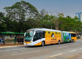 Foto ilustrativa: Christian Rizzi/PMFI