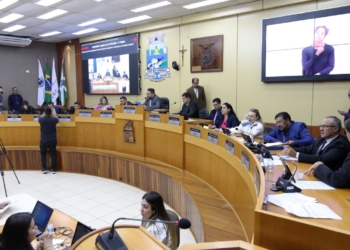 Sessão da Câmara de Vereadores que aprovou a abertura da CPI. Foto: Christian Rizzi/CMFI