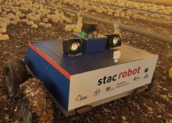 Revolução na avicultura? Quem sabe? Foto: divulgação/PTI