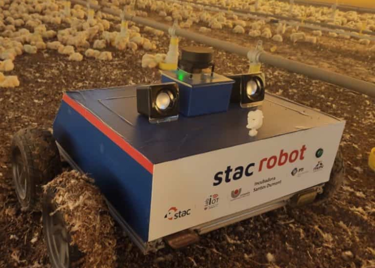 Revolução na avicultura? Quem sabe? Foto: divulgação/PTI