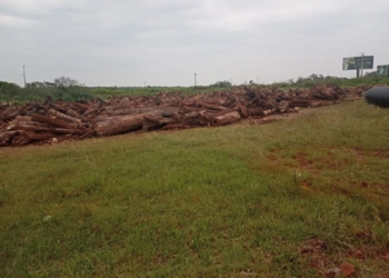 Madeiras estão amontoadas, agora, em uma área próxima à aduana brasileira, por onde circulam turistas que entram e saem do país, pela Argentina.