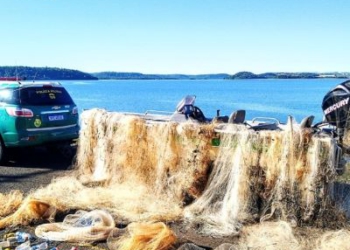 Material apreendido. Foto: divulgação