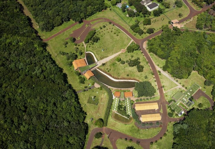 Refúgio Biológico da Itaipu que deverá ser revitalizado. Foto: Alexandre Marchetti/IB