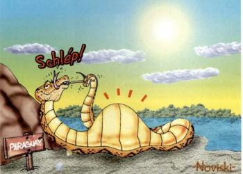 Ilustração do Livro Causos de Itaipu.