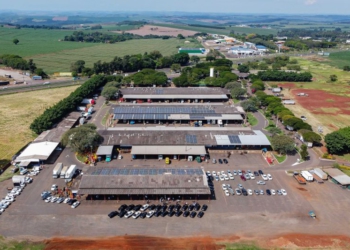 Ceasa Maringá abrirá no 7 de setembro; demais unidades estarão fechadas
Foto: Roberto Dziura Jr/AEN