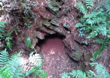 Condição atual do túmulo de Tadeusz Chrostowski encontrado pelo pesquisador Maurício Dezordi entre 2020-2021. Foto: Maurício Dezordi