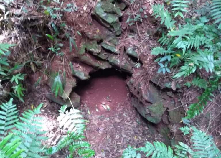 Condição atual do túmulo de Tadeusz Chrostowski encontrado pelo pesquisador Maurício Dezordi entre 2020-2021. Foto: Maurício Dezordi