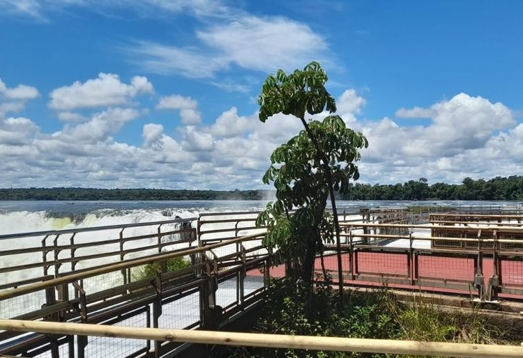 Cataratas do Iguaçu do lado argentino. Foto: Parque Nacional Iguazú