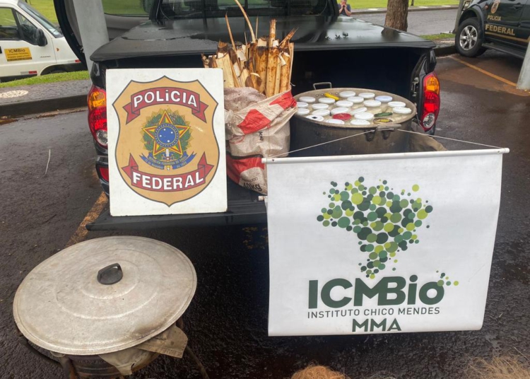 Material apreendido na operação. Foto: divulgação