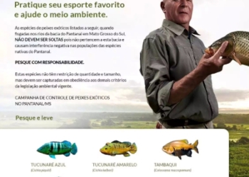 Folheto distribuído pelo Ibama na região do Pantanal. Foto: divulgação