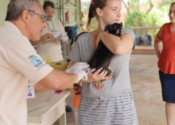 Vacinação em Foz é gratuita. Foto: PMFI