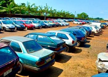 Veículos que serão leiloados. Foto: PMFI/Divulgação