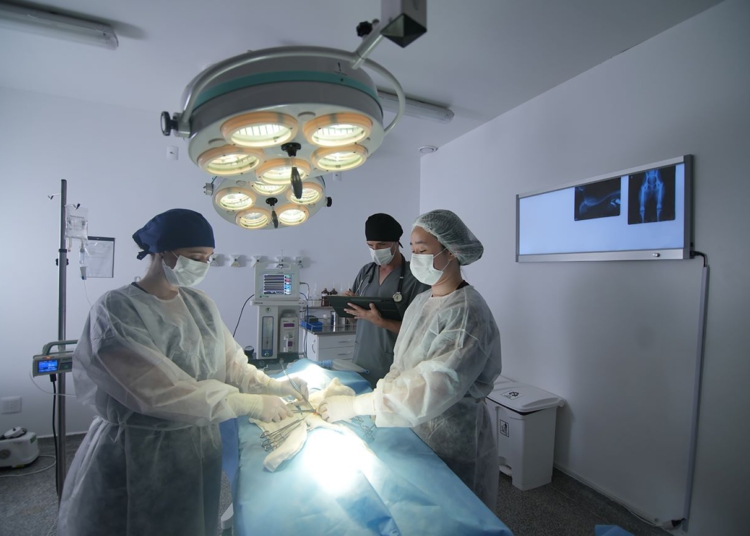 Foto ilustrativa: UDC/Divulgação