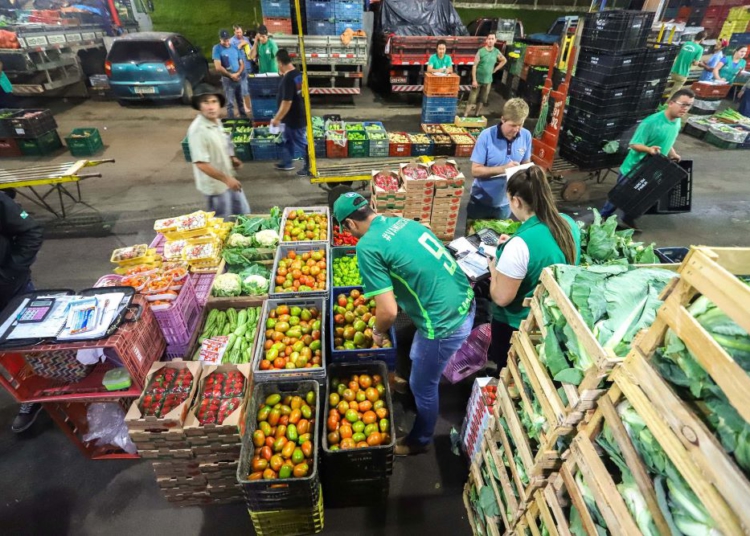 Foto ilustrativa: AEN