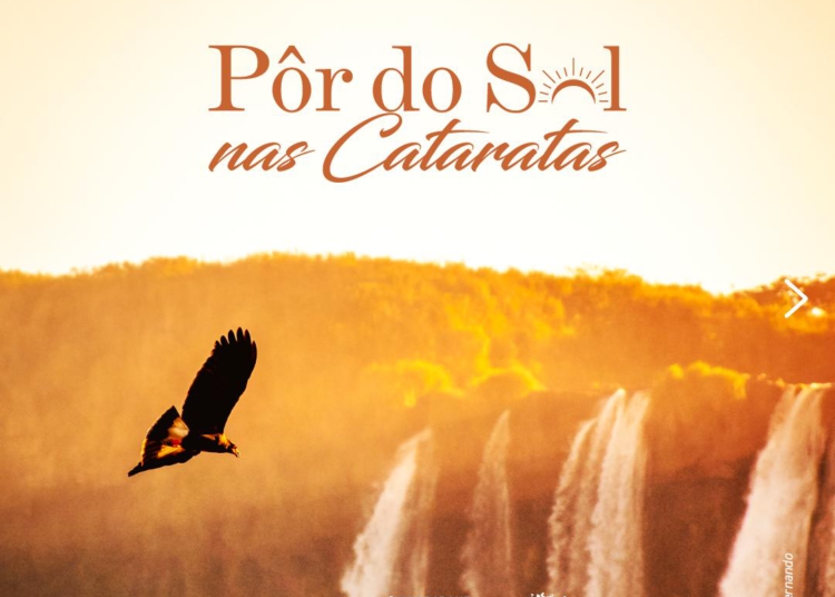 Ilustração: divulgação