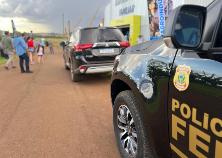 Foto ilustrativas: divulgação